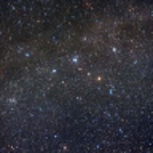 Meet your Posher, Fiona